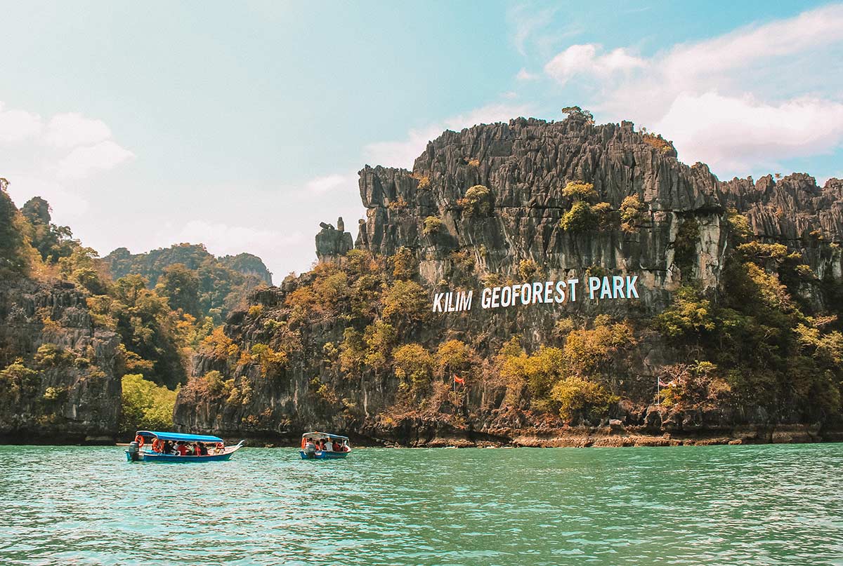 Jelajahi Hutan Mangrove Langkawi yang Memesona dengan Tur Mangrove