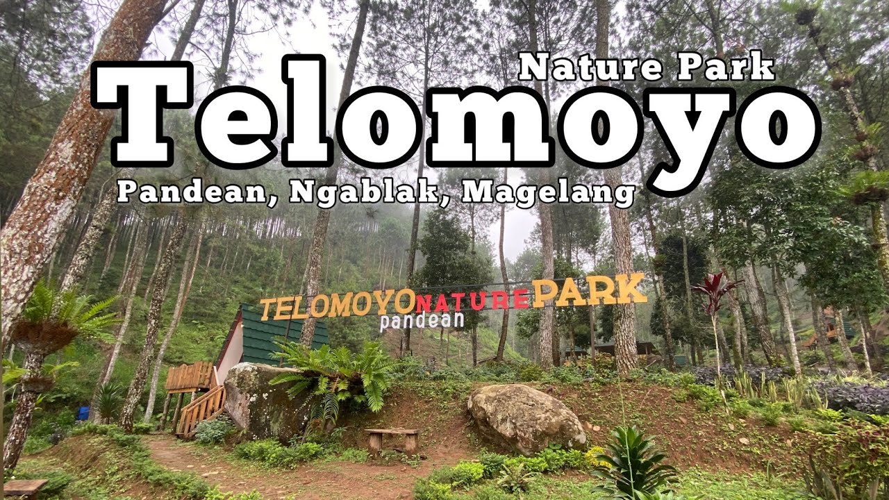 Telomoyo Nature Park: Surga Alam di Lereng Gunung